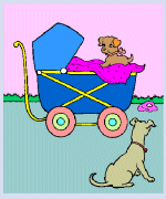 baby online_coloring 